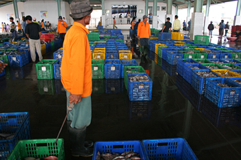 Lonja de pescado, Jakarta