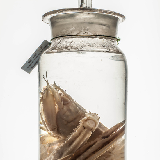 IES_CARDENALCISNEROS_CIENCIASNATURALES_001