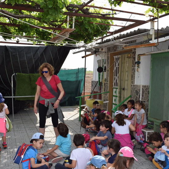 Siembra Huerta Balta 5 años 2018 11