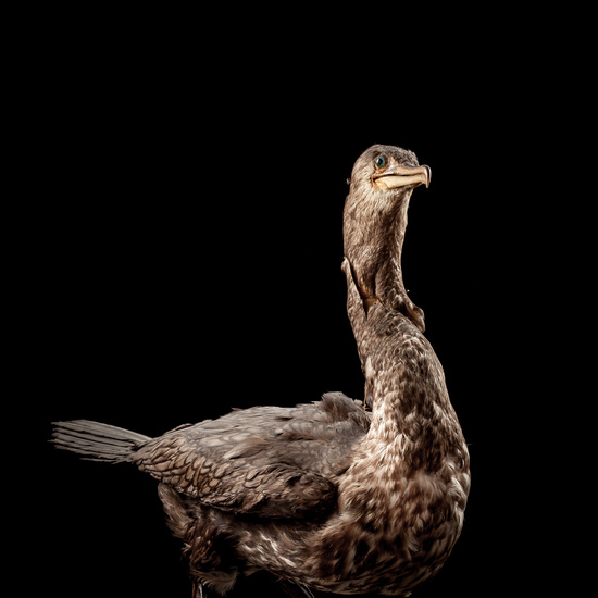 IES_SANISIDRO_BIOLOGIA_032