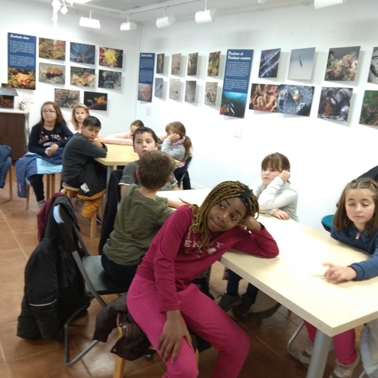 REVOLOTEANDO POR BOSQUE SUR -  3º PRIMARIA (CURSO 19/20) 12