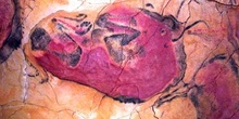 Arte rupestre de la Cueva de Altamira, Santillana del Mar, Canta