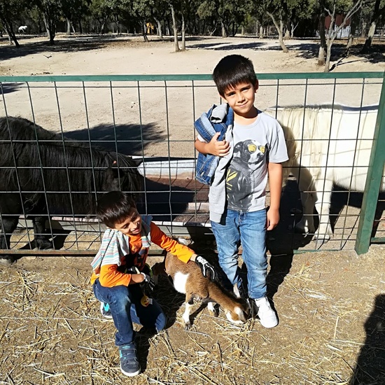 Granja Escuela 1º y 2º EP 2017-18 50