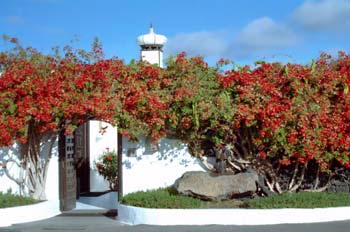 Entrada secundaria de La Fundación César Manrique
