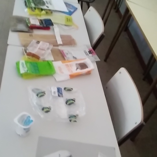 Jornadas Ciencia 2019_Taller alimentación (1)