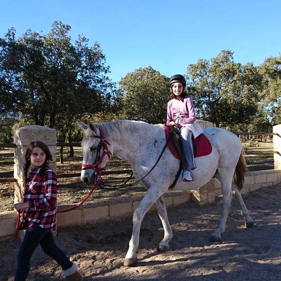 Mohernando 2017_2 44