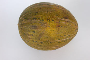 Melón