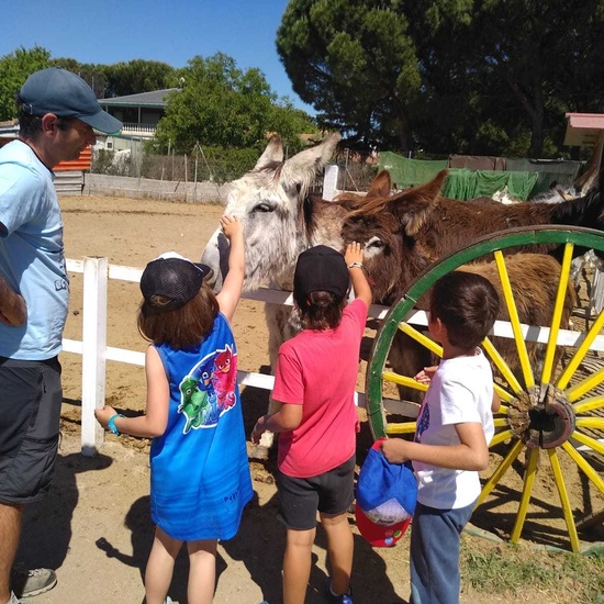 1º A BURROLANDIA 12
