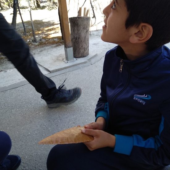 Arqueopinto 4º 19 14