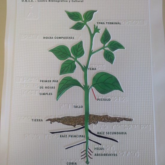 OTRA FORMA DE VER EL MUNDO 40