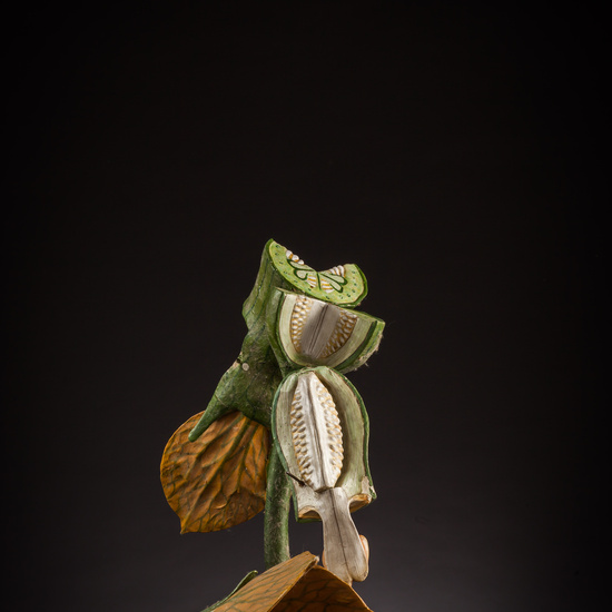 IES_ISABELLACATOLICA_BIOLOGIA_059