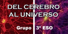 08.3º ESO Del cerebro al Universo