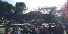 Excursión al zoo 5 años, 1º y 2º Luis Bello 26