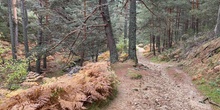 ORIENTACIÓN EN CERCEDILLA 14-01-2022