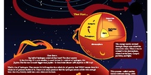 POSTER WHERE DOES THE SUN´S ENERGY COME FROM?