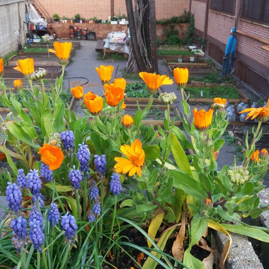 GALERÍA LEPANTO 6 7