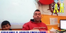 EXPLICAMOS EL APARATO CIRCULATORIO