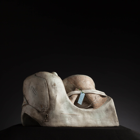 IES_CARDENALCISNEROS_ANATOMIA_MODELOS_119