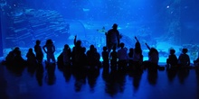 FOTOS AQUARIUM 3 24
