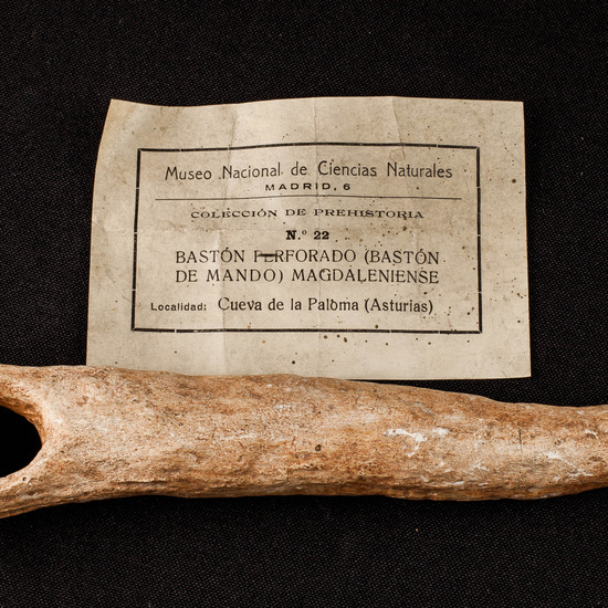 IES_SANISIDRO_MUSEO_Paleologia_026