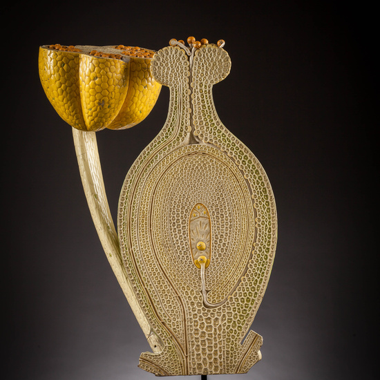 IES_SANISIDRO_MUSEO_Botanica_055