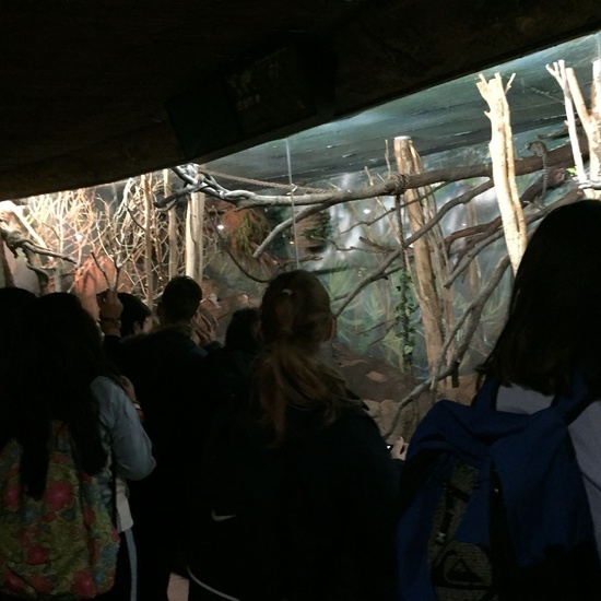 Faunia: taller y visita guiada 15