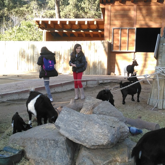 3ºE- Fotos Primer Trimestre 29