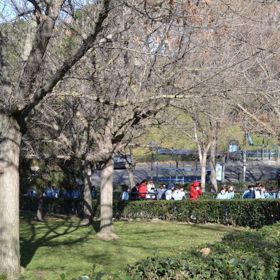 DÍA DE LA PAZ 2019 17