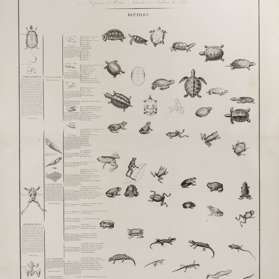 IES_CARDENALCISNEROS_ZOOLOGIA_I_LAMINAS_013