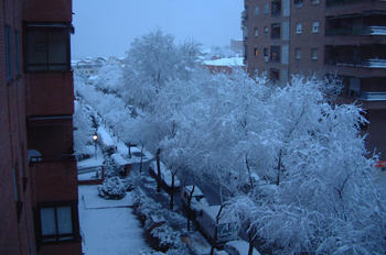 Nevada en Madrid, Comunidad de Madrid