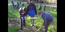 Sexto planta árboles en el entorno del colegio_CEIP FDLR_Las Rozas
