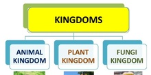 1. KINGDOMS_NATURAL SCIENCE_YEAR 4