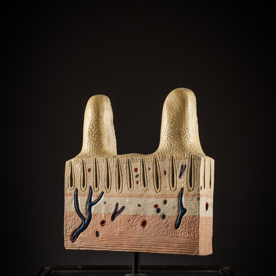 IES_SANISIDRO_BIOLOGIA_275