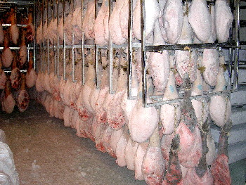 Jamón en cámara frigorífica