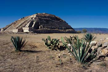 Zona Arqueológica de Monte Albán