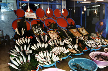 Pescado del Mar de Mármara, Barrio Kumkapi, Estambul, Turquía
