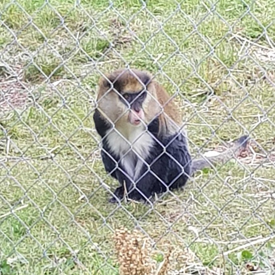 2020-01-15 visita rainfer 2