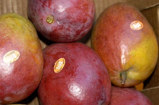 Mangos