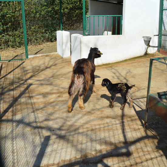 GRANJA ESCUELA ALBITANA 2018 7