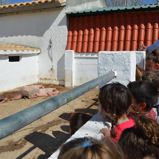 GRANJA ESCUELA ALBITANA 30