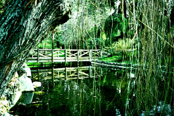 Puente de madera sobre río