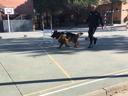 La Unidad Canina de la Policia Municipal de Las Rozas visita el cole_CEIP FDLR_Las Rozas_2017  5