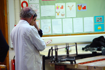 Profesor de diseño y tecnología