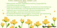 INSTRUCCIONES T5 CANVA PLANTAS