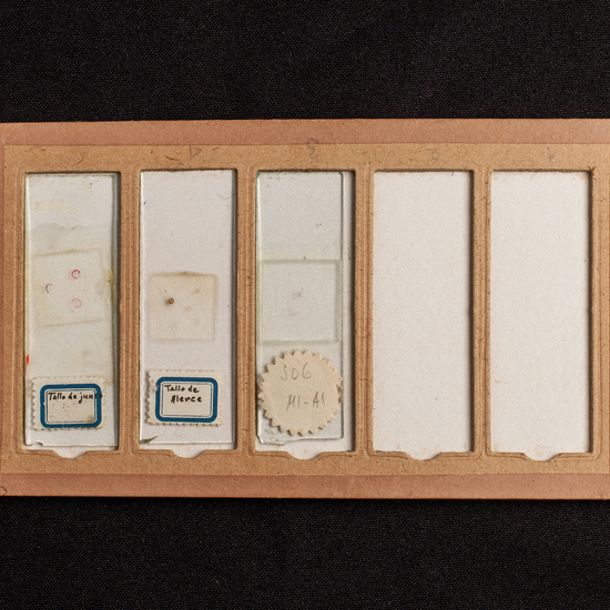 IES_ISABELLACATOLICA_BIOLOGIA_207