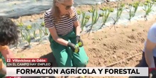 IES Capacitación Agraria Villaviciosa en Telemadrid