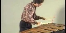 La percusión: Láminas