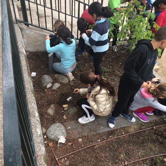 2018_11_CUARTO DISEÑANDO EL JARDIN DE LOS SENTIDOS_CEIP FDLR_LAS ROZAS 15