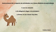 Instrucciones tarea 5 para Canva