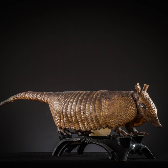 IES_SANISIDRO_MUSEO_Zoolgía_159